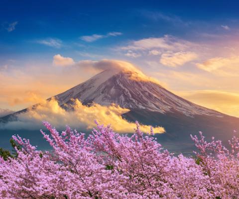 DU LỊCH NHẬT BẢN MÙA HOA ANH ĐÀO 2024: OSAKA – KYOTO – PHÚ SỸ - TOKYO BAY VIETNAM AIRLINES