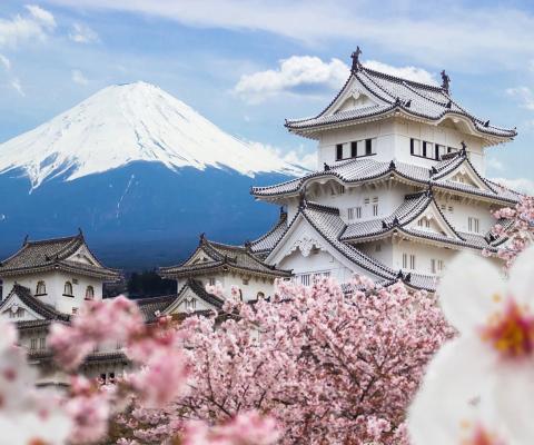 DU LỊCH NHẬT BẢN MÙA HOA ANH ĐÀO 2024:  OSAKA – KYOTO – PHÚ SỸ - TOKYO BAY  VIETNAM AIRLINES