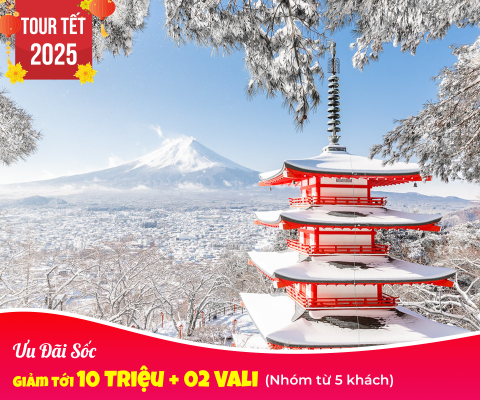  DU LỊCH NHẬT BẢN TẾT NGUYÊN ĐÁN 2025 HÀ NỘI –TOKYO – NÚI PHÚ SỸ - KYOTO - OSAKA  BAY VIETJET 