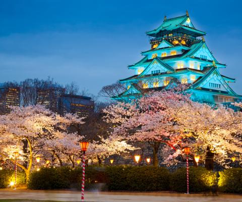 DU LỊCH NHẬT DỊP LỄ 30/4 HÀ NỘI- TOKYO- FUJI.MT- NAGOYA- KYOTO- OSAKA  BAY ALL NIPPON AIRWAYS 