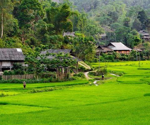 Du lịch Tây Bắc ĐIỆN BIÊN - A PA CHẢI - MƯỜNG PHĂNG
