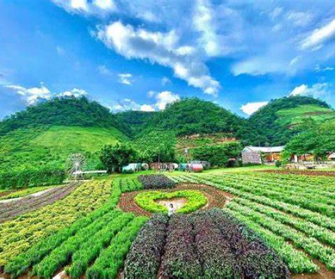 DU LỊCH TÂY BẮC SƠN LA – ĐIỆN BIÊN – MỘC CHÂU