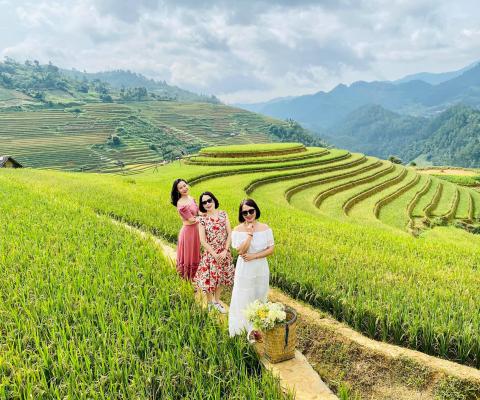 HÀ NỘI – ĐỒI CHÈ THANH SƠN – MÙ CANG CHẢI – HÀ NỘI 2 NGÀY 1 ĐÊM