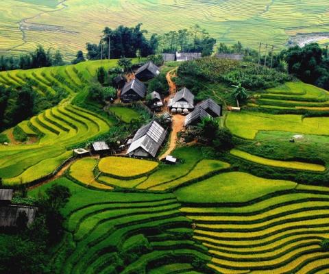 HÀ NỘI - SAPA 2 NGÀY 1 ĐÊM | TOUR TẾT DƯƠNG LỊCH 2026