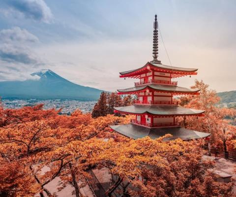 Tour Du Lịch Nhật Bản Từ Hà Nội 6 Ngày 5 Đêm: Nagoya – Nara – Osaka – Kyoto – Núi Phú Sĩ – Tokyo