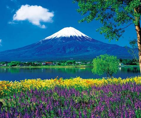 KHÁM PHÁ MÙA HÈ RỰC RỠ NHẬT BẢN  HÀ NỘI- OSAKA –KOBE–NAGOYA- KYOTO – NÚI PHÚ SĨ – TOKYO BAY VIETJET AIR 