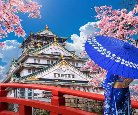 KHÁM PHÁ NHẬT BẢN MÙA HOA ANH ĐÀO 2025 TOKYO – NÚI PHÚ SĨ – NAGOYA – KYOTO – OSAKA BAY VIETJET AIR