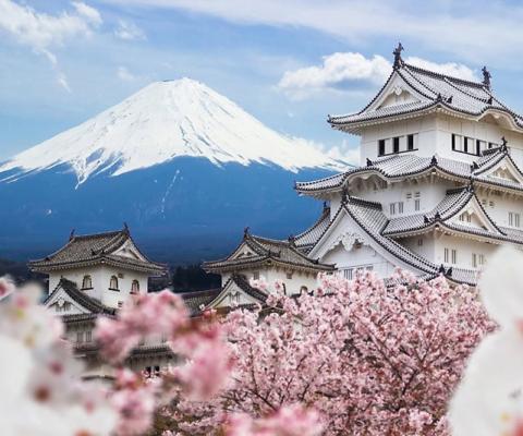 KHÁM PHÁ NHẬT BẢN MÙA HOA ANH ĐÀO 2026 HÀ NỘI – TOKYO – NÚI PHÚ SĨ – NAGOYA – KYOTO – OSAKA – NGẮM HOA ANH ĐÀO – HÀ NỘI BAY VIETNAM AIRLINES