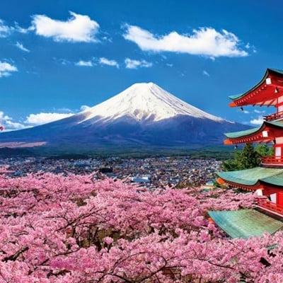 KHÁM PHÁ NHẬT BẢN MÙA HOA ANH ĐÀO HÀ NỘI – OSAKA – KOBE – KYOTO – NÚI PHÚ SĨ – TOKYO – NGẮM HOA ANH ĐÀO – HÀ NỘI BAY VIETNAM AIRLINES