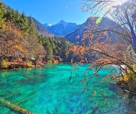 KHÁM PHÁ THÀNH ĐÔ – ĐÔ GIANG YẾN - CỬU TRẠI CÂU – NGÕA ỐC SƠN – LẠC SƠN ĐẠI PHẬT BAY THẲNG VIETNAM AIRLINES