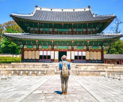 KHÁM PHÁ "THIÊN ĐƯỜNG HAWAII" CỦA HÀN QUỐC HÀ NỘI – SEOUL-JEJU-NAMI - CAMELLIA HILL –DU THUYỀN SANBANGSAN- THƯ VIỆN SÁCH BAY ASIANA AIRLINES