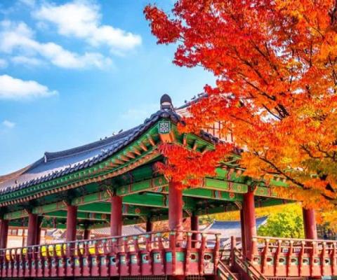 KHÁM PHÁ XỨ SỞ KIM CHI HÀN QUỐC  HÀ NỘI - SEOUL-NAMI- EVERLAND- THƯ VIỆN SÁCH BAY JEJU AIR 