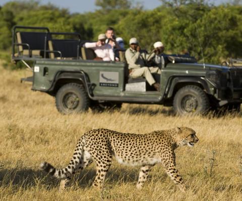 MỘT QUỐC GIA, HAI THẾ GIỚI HOANG DÃ TRỌN BỘ SAFARI TRONG MỘT ĐIỂM ĐẾN! CHƯƠNG TRÌNH NAM PHI HẤP DẪN NHẤT 2026 BAY SINGAPORE AIRLINES