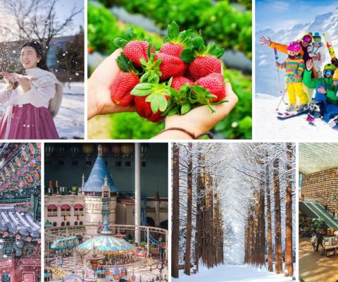SEOUL-NAMI- LOTTE WORLD-TRƯỢT TUYẾT – HÁI DÂU- THƯ VIỆN SÁCH BAY VIETNAM AIRLINES (TRƯA - TỐI)