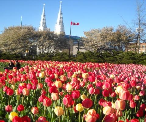TOUR DU LỊCH CANADA: VANCOUVER  - ĐẢO VICTORIA – VƯỜN HOA BUTCHART – CẦU TREO KAPIOLANI – MONTREAL – QUEBEC CITY – OTTAWA  NGÀN ĐẢO – TONRONTO – THÁC NƯỚC NIAGARA 11N10Đ
