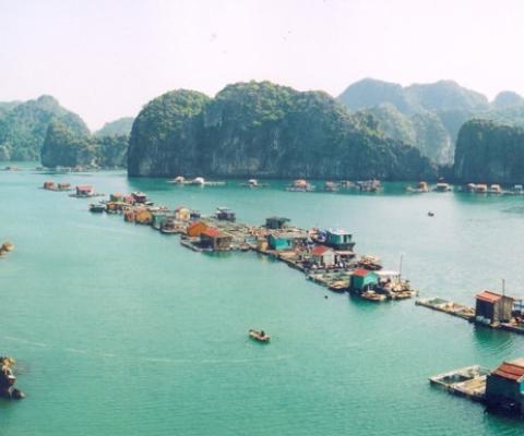 TOUR DU LỊCH CÁT BÀ 3 NGÀY 2 ĐÊM