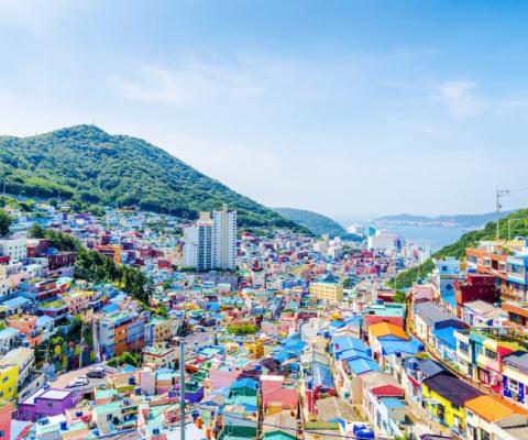 TOUR DU LỊCH ĐÓN TẾT CANH TÍ: DAEGU - BUSAN 5N4Đ BAY TW