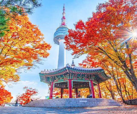 Tour Du Lịch Hàn Quốc Mùa thu 5 Ngày 4 Đêm: Seoul – Nami – Everland – Painter Show Bay Vietjet Air
