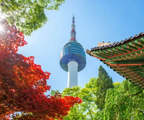 Tour Du Lịch Hàn Quốc Mùa Thu Từ Hà Nội: Seoul – Nami – Everland – Thư Viện Sách – Hái Táo Bay Vietnam Airlines