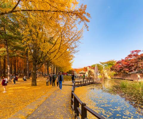 Tour Du Lịch Hàn Quốc Mùa Thu Vàng 5N4Đ: Seoul – Nami – Everland – Thư Viện Sách – Hái Táo – Làng Cổ Namsan Bay Vietnam Airlines