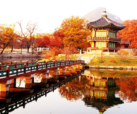TOUR DU LỊCH HÀN QUỐC: SEOUL – ĐẢO NAMI – CÔNG VIÊN EVERLAND 5 NGÀY BAY JEJU AIR