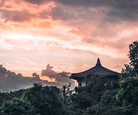 TOUR DU LỊCH HÀN QUỐC: SEOUL – JEJU – NAMI – EVERLAND – NAMSAN 6N5Đ