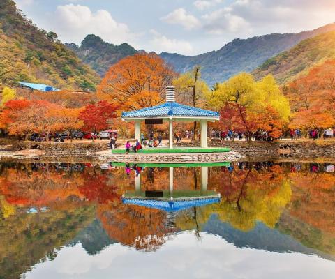 TOUR DU LỊCH MIỄN VISA ĐẾN HÀN QUỐC