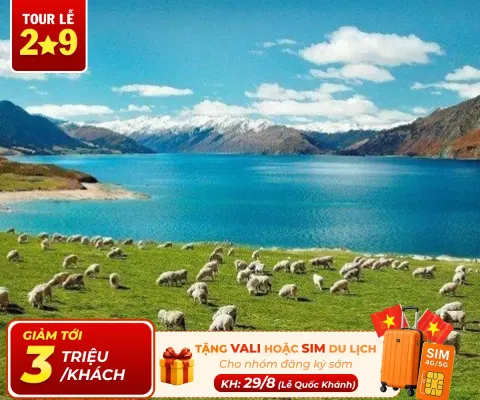 Tour Du Lịch New Zealand 7 Ngày 6 Đêm Khám Phá Đảo Bắc