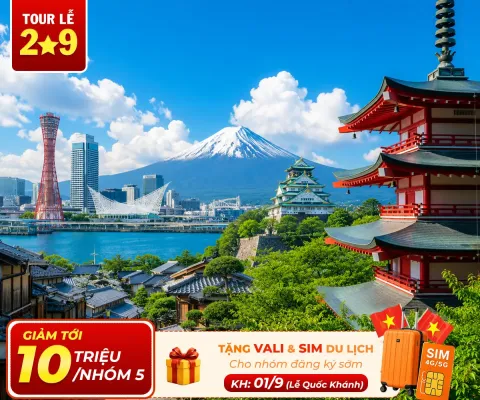 Tour Du Lịch Nhật Bản 6 Ngày 5 Đêm: Cung Đường Vàng Rực Rỡ