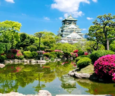  Tour Du Lịch Nhật Bản 6N5Đ: Nara – Osaka – Kyoto – Nagoya – Phú Sĩ – Tokyo No Shopping