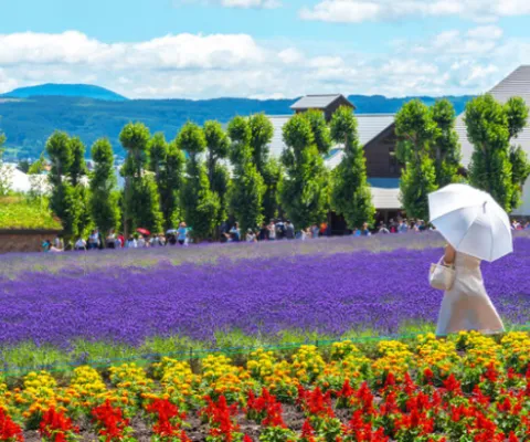 Tour Du Lịch Nhật Bản Hokkaido Mùa Hè 6N5Đ Từ Hà Nội Bay All Nippon Airways