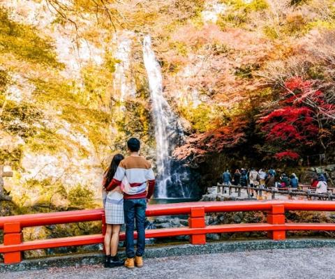 Tour Du Lịch Nhật Bản Mùa Thu 6 Ngày 5 Đêm: Cung Đường Vàng Rực Rỡ 
