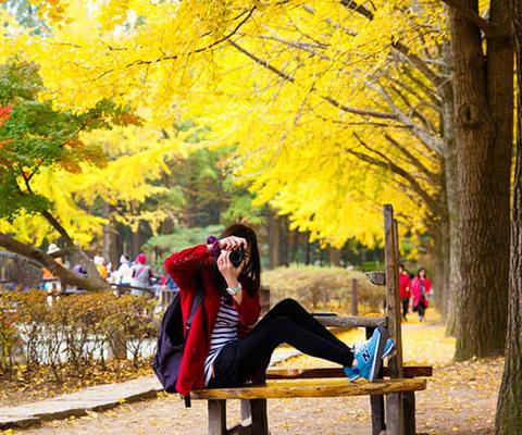 Tour Du Lịch Nhật Bản Mùa Thu Từ Hà Nội: Osaka – Kobe – Kyoto – Núi Phú Sĩ – Tokyo