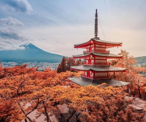 Tour Du Lịch Nhật Bản Từ Hà Nội 6 Ngày 5 Đêm: Nagoya – Nara – Osaka – Kyoto – Núi Phú Sĩ – Tokyo
