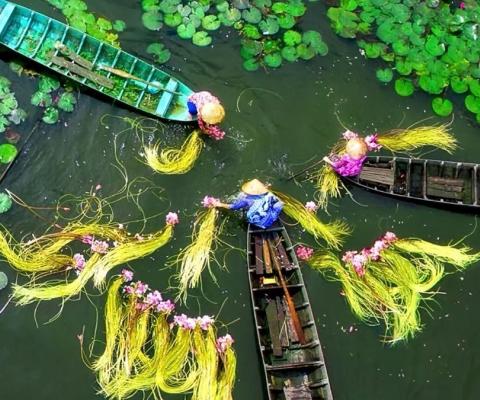 TOUR HÀ NỘI – CẦN THƠ – SÓC TRĂNG – BẠC LIÊU – CÀ MAU – ĐẤT MŨI – TIỀN GIANG – BẾN TRE – TÂY NINH – SÀI GÒN 5n4d (Bay VNA)