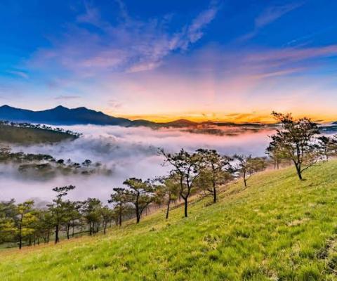 Tour Hà Nội Đà Lạt 3N2Đ bay VNA: Chạm vào sương mù mộng mơ
