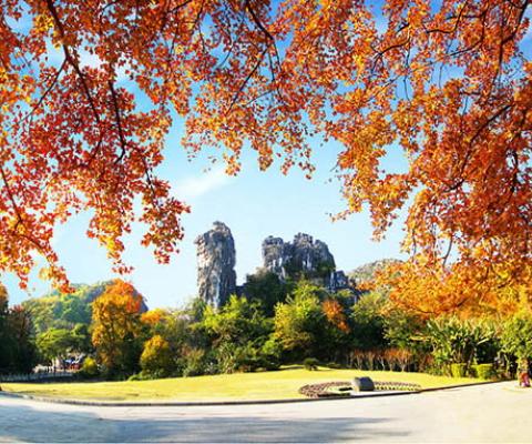 Tour Quế Lâm Dương Sóc từ Hà Nội 4n3d Bay GX Mùa Thu Đông