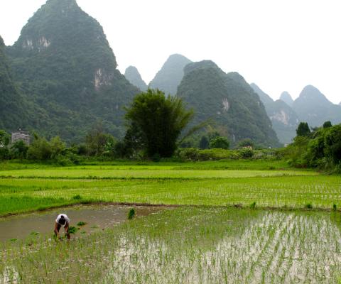 Tour Hà Nội – Quế Lâm – Dương Sóc 5N4Đ Bay GX No Shopping