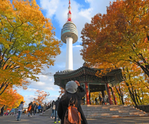 Tour Hàn Quốc 5 Ngày 4 Đêm: Seoul - Nami - Everland