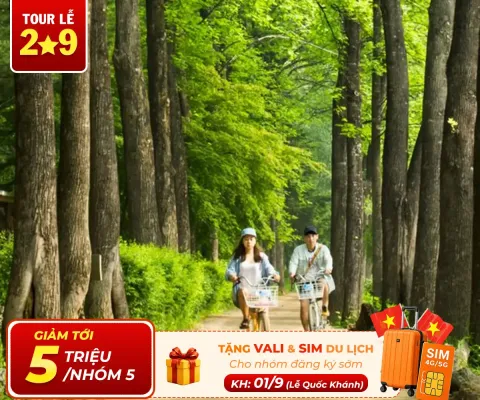 Tour Hàn Quốc 6 Ngày 5 Đêm Từ Hà Nội: Busan – Seoul – Đảo Nami – Incheon – Trải Nghiệm Đi Phà Ngắm Hải Âu Bay Vietjet Air