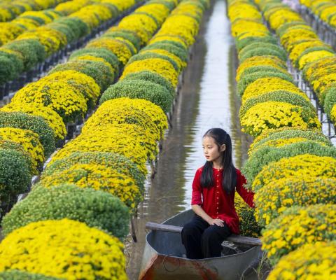 TOUR KHÁM PHÁ SÔNG NƯỚC MIỀN TÂY CẦN THƠ – ĐỒNG THÁP- CHÂU ĐỐC - CẦN THƠ