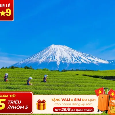 Tour Nhật Bản 5 Ngày 4 Đêm Giá Rẻ: Shizuoka – Núi Phú Sĩ – Tokyo Bay Vietjet Air