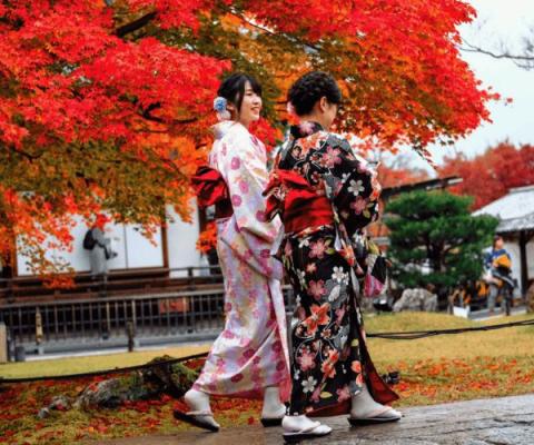 Tour Nhật Bản 6 ngày 5 đêm:	 Cung đường vàng - Sắc Thu Lãng Mạn - Trải Nghiệm Khó Quên 