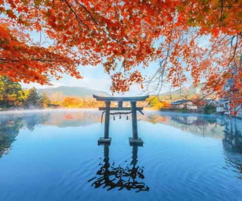  Tour Nhật Bản mùa thu 5N4Đ: Shizuoka - Phú Sĩ - Tokyo bay VJ