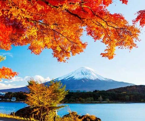 Tour Nhật Bản mùa thu 6N5D: Osaka - Phú Sĩ - Tokyo