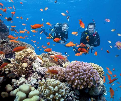 TOUR PHÚ QUỐC CÂU CÁ – LẶN NGẮM SAN HÔ ( BAY VNA )