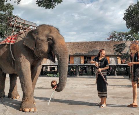 Tour Tây Nguyên 5n4d: Pleiku - Măng Đen - Buôn Mê bay VNA