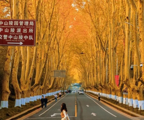 Tour Thượng Hải Dương Châu Nam Kinh 6 Ngày 5 Đêm Trọn Gói