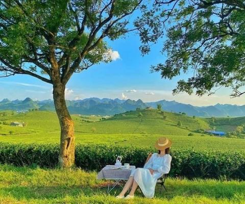 VỀ MIỀN TÂY BẮC! HÀ NỘI – SƠN LA – ĐIỆN BIÊN- MỘC CHÂU 3 NGÀY 2 ĐÊM