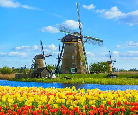 VIỆT NAM - ĐỨC – HÀ LAN – BỈ - PHÁP - VIỆT NAM